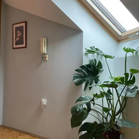 Grazer Schwalbe Apartament