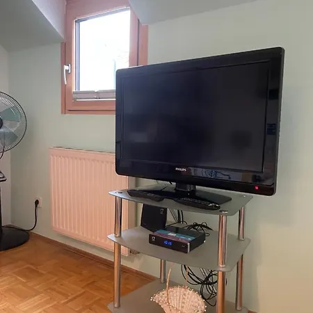 Grazer Schwalbe * Graz