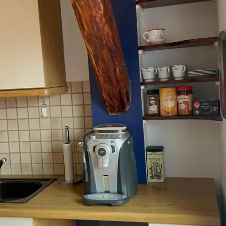 Grazer Schwalbe * 그라츠