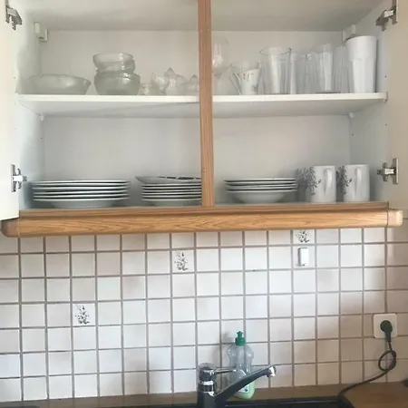 Grazer Schwalbe * Graz