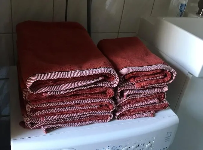 Grazer Schwalbe 그라츠