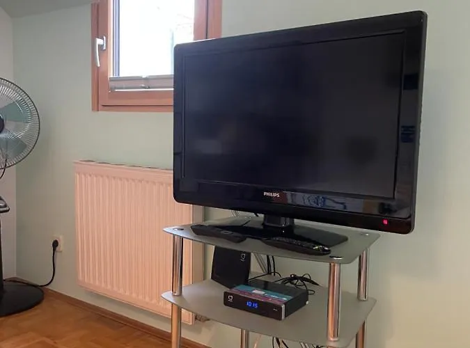 Grazer Schwalbe * 그라츠