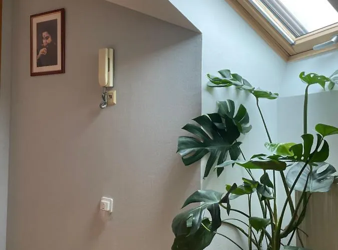 Grazer Schwalbe Apartamento