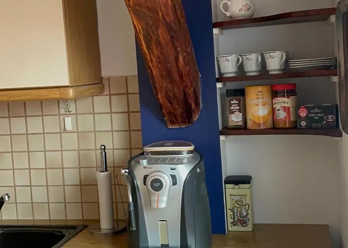 Grazer Schwalbe * 그라츠