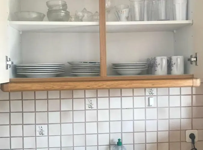 Grazer Schwalbe * 그라츠